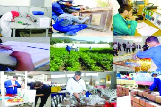 Creation of SMEs-SMIs: A private finance fund to be set up soon