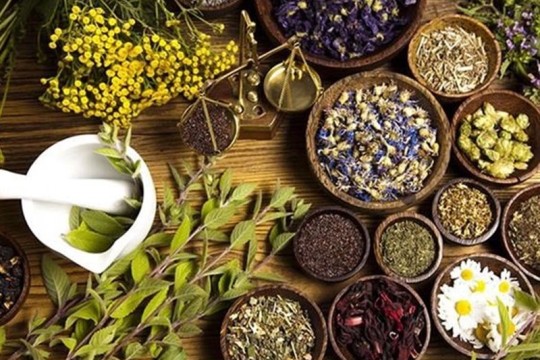 Iran Exports over 850 Tons of Medicinal Herbs in 10 Months: Official