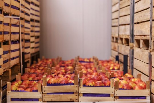 Construction of cold rooms: Interest-free loans for farmers-Algeria