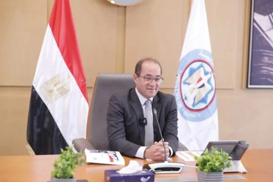 Egypt’s Finance Minister calls for fairer global policies to support emerging economies