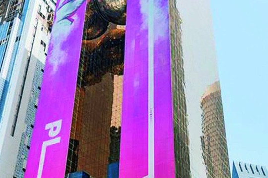 QSE shows resilience as investor confidence supports market activity