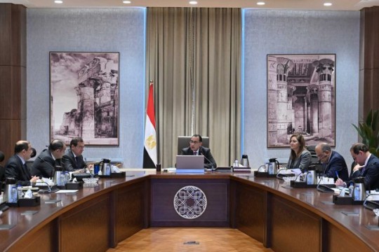 Madbouly urges government to quickly launch projects for private sector with promotional plan-Egypt