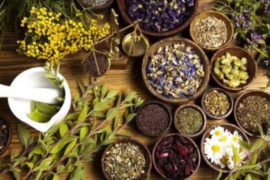 North Khorasan province exports medicinal plants for 1st time