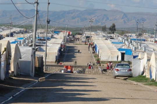 National Card Issuance Starts in IDP Camps: Iraqi MP