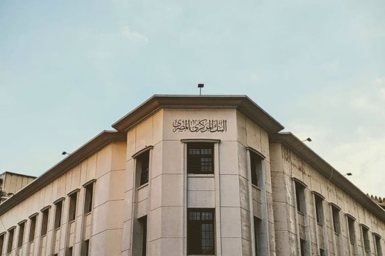 Egyptian expat remittances up 42.8% in first 10 months of 2025-Egypt