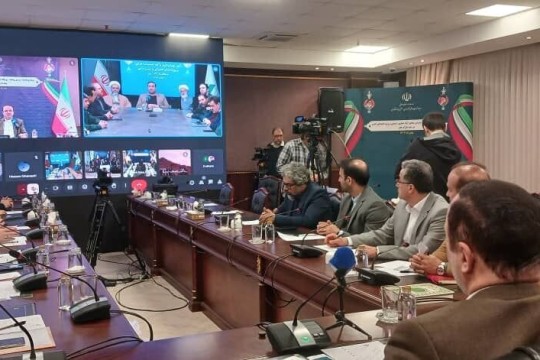 New development projects launched in free, special economic zones