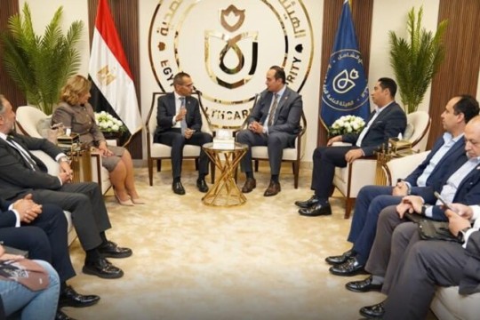 EHA, Arab Hospitals Federation discuss cooperation on AI, sustainable healthcare-Egypt