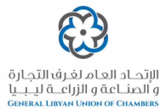 Over sixty Egyptian companies hold B2B meetings with their Libyan counterparts-Libya