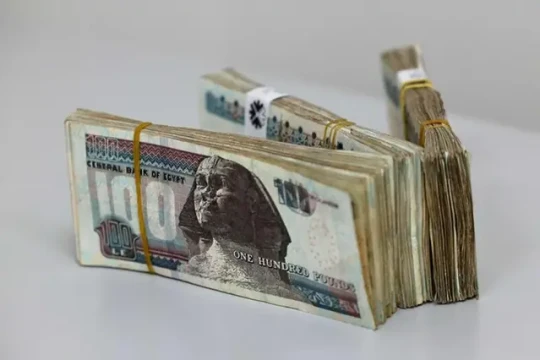 UAE’s Egyptians hurried to transfer money home following pound’s post-float fall