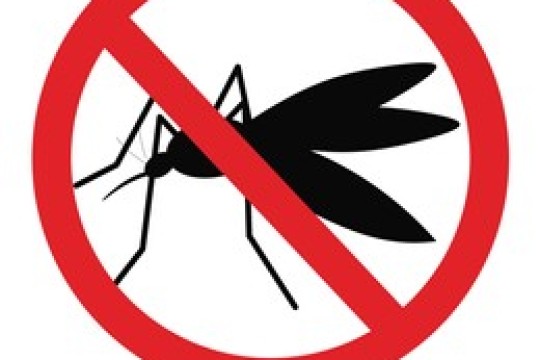 Health Ministry intensifies mosquito control campaigns across Bahrain