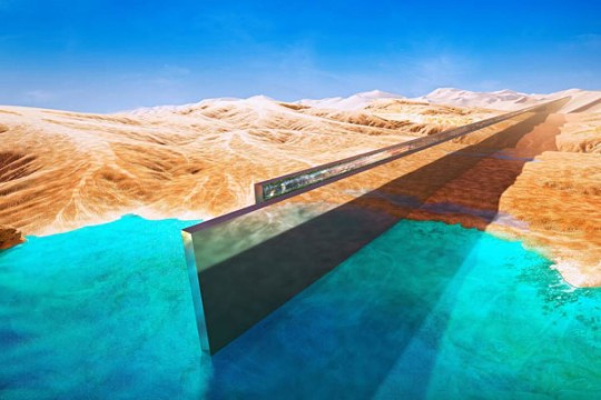 No hiccups on NEOM activities after project CEO's exit, says Webuild