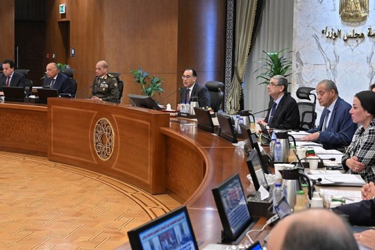 Cabinet authorizes letter of guarantee on Egyptian-Korean financing agreement -Egypt