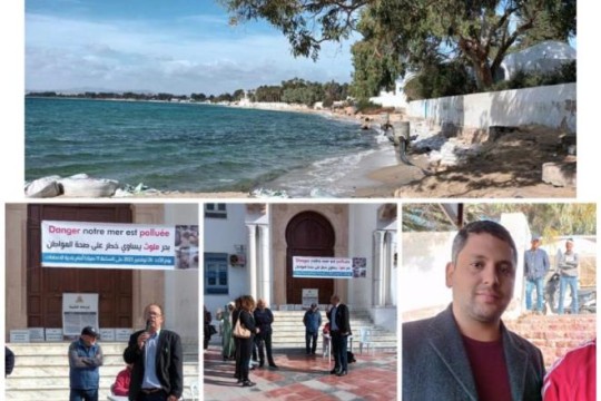 Hammamet beaches threatened by 'ecological disaster' (statement)
