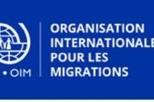 IOM: call for projects for Tunisian entrepreneurs at home and expatriates