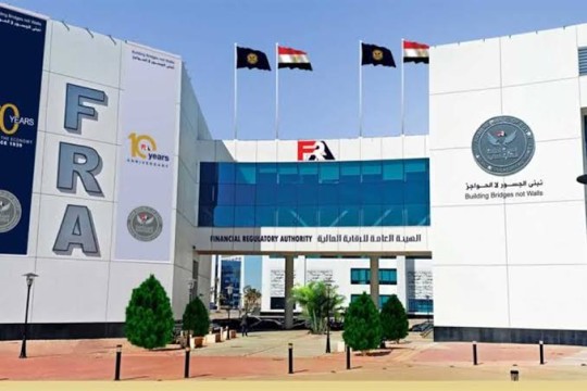 FRA mandates consumer finance firms to insure clients against death, permanent disability-Egypt