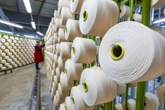 Galician Textile Industry Turns to Morocco Amid Portuguese Industry’s Crisis