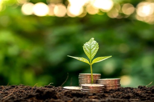 Themar seeks to increase capital to EGP 100M in 3 years