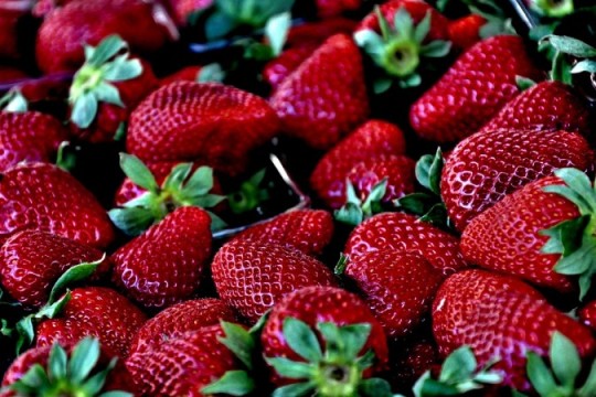 Hepatitis A: Spanish Health Authorities Persist in Warning Against Moroccan Strawberries