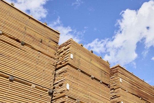 US hardwood lumber exports to Mena up 6pc in H1