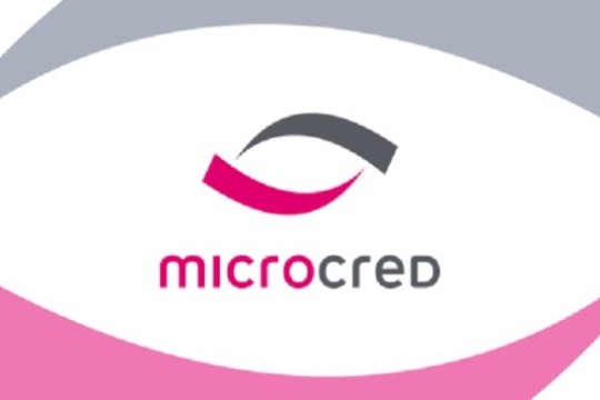 Tunisia: Microcred issues debenture loan of 10 million dinars