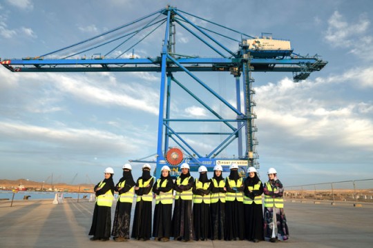 Port of NEOM receives fully automated cranes; work on track