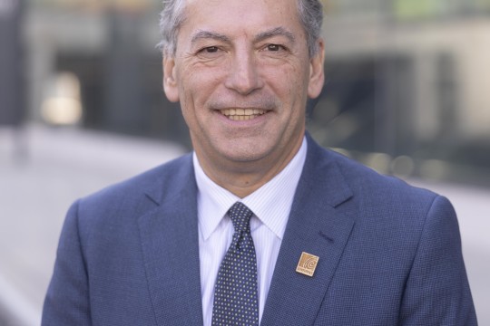 "الرابطة البرتغالية" تشارك بـ 12 شركة في معرض دبي للأخشاب 2024