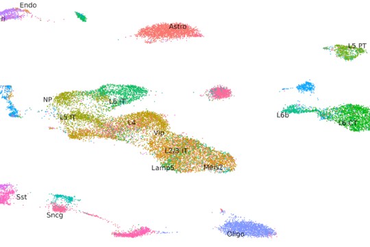 تطوير شركة Parse Biosciences خططها الهادفة إلى إطلاق منتجات الوصول إلى الكروماتين في الخلايا الأحادية