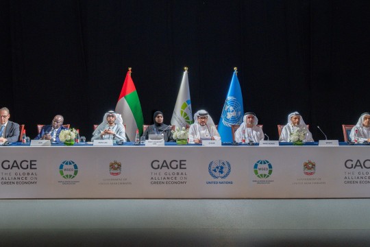 World Green Economy Summit hosts a high-level ministerial roundtable