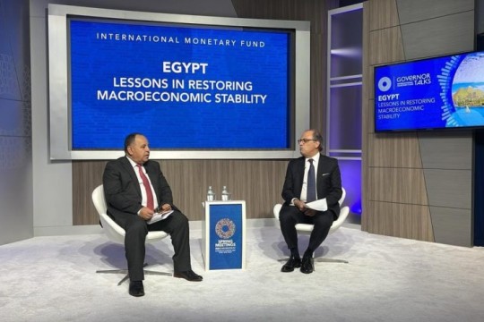 Egypt looks forward to mobilising sustainable finance for Africa’s public health: Finance Minister