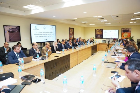 Egypt holds consultative meeting to discuss national foreign direct investment strategy-Egypt