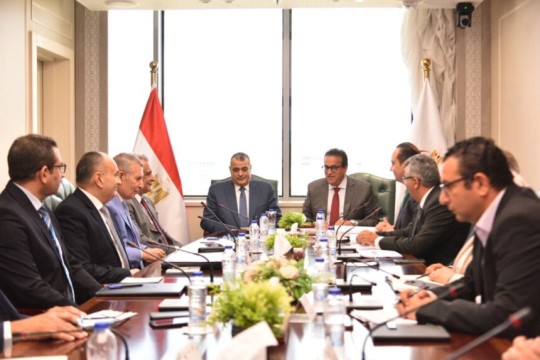 Egypt strengthens inter-ministerial cooperation to upgrade healthcare sector-Egypt