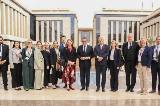 Egypt, Sweden discuss expanding healthcare cooperation, digital transformation-Egypt