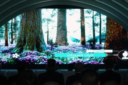 Baghdad Sustainable Forests Project launched